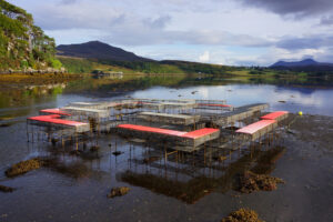 Climavore Skye 2 Cooking Sections 2017 1000